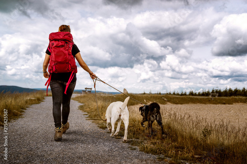 young woman walks with two dogs on a hiking trail in the mountains hiking with a dramatic sky - labrador retriever and german shepherd