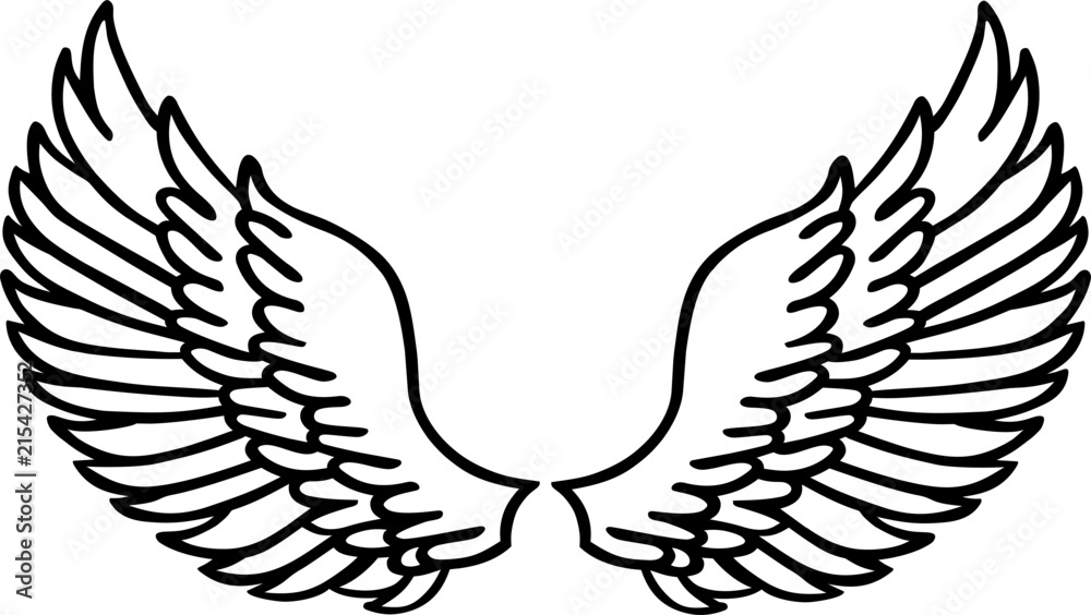 Obraz premium Feathered Wings