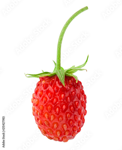 Wild strawberry isolated on white background, clipping path, full depth of field