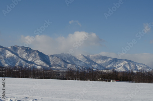 積雪した平原 © ookinate23
