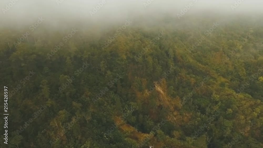 Forest in the mountains of tropical island in the clouds. Aerial view of over tropical rainforest in mountains with white fog, clouds, Bali,Indonesia. Fog over the jungle. Aerial footage. Forest in the mountains of tropical island in the clouds. Aerial view of over tropical rainforest in mountains with white fog, clouds, Bali,Indonesia. Fog over the jungle. Aerial footage.