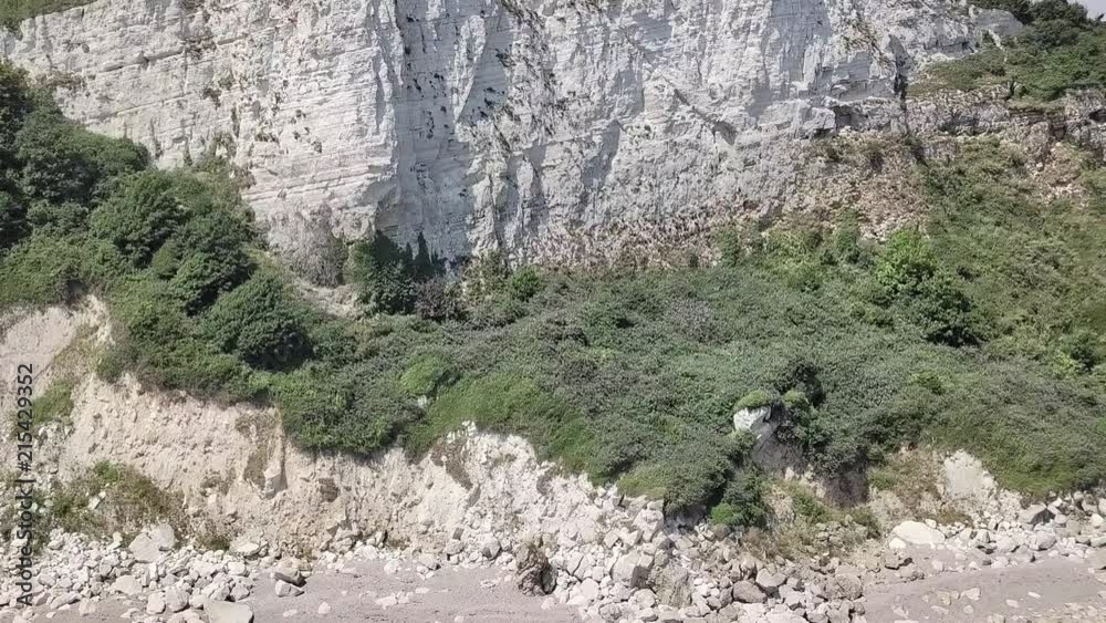 Jurassic Coast Cliff Pan To Homes Jurassic Coast Cliff Pan To Homes