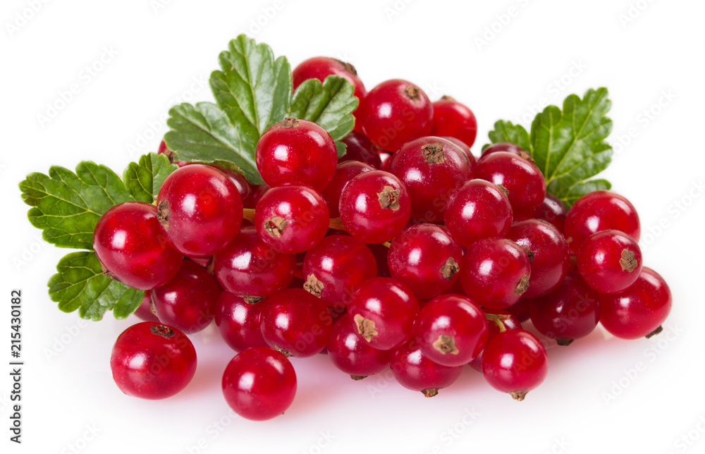 Red currant on white background Red currant on white background