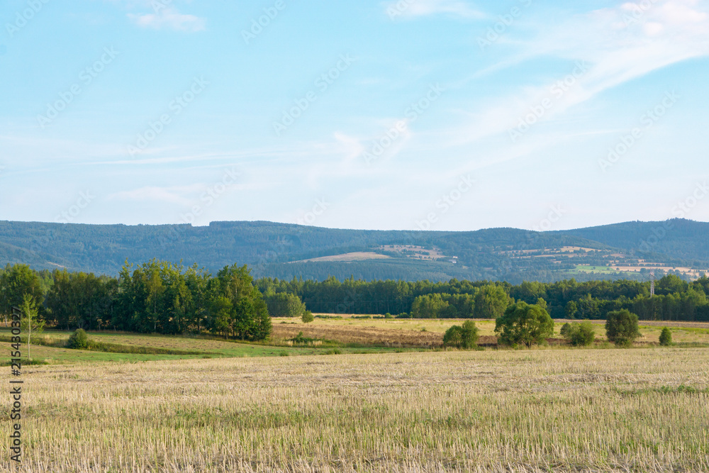 Landscape of mountains and fields, wheat field