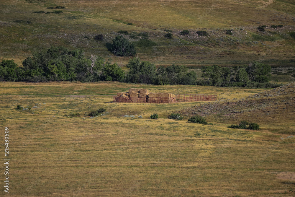 Obraz premium Wyoming Country C1