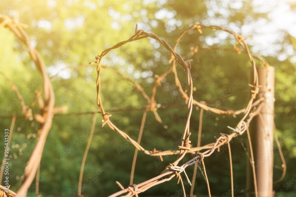 Old barbed wire on the fence, protection from thieves, barbed wire, illuminated by the sun, beautiful background Old barbed wire on the fence, protection from thieves, barbed wire, illuminated by the sun, beautiful background