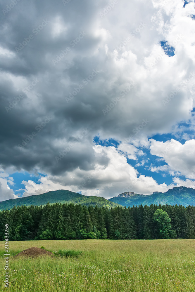 Fototapeta premium Idyllic landscape in the Alps with green meadows and clouds