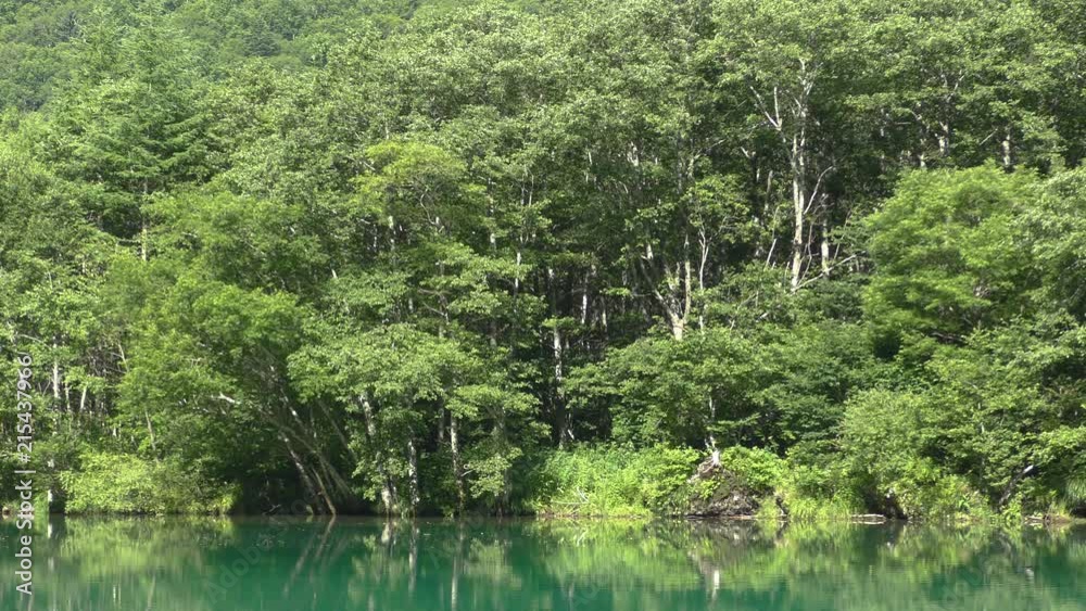 長野県上高地の大正池 長野県上高地の大正池
