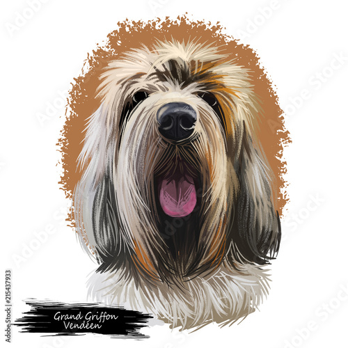 Grand Griffon Vendeen, Large Vendeen Griffon dog digital art illustration isolated on white background. France origin hunting dog. Pet hand drawn portrait. Graphic clip art design for web, print photo