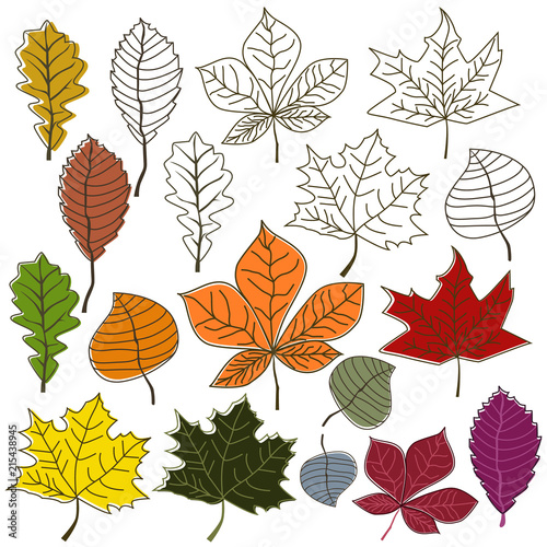 autumn leaves bush collection set
