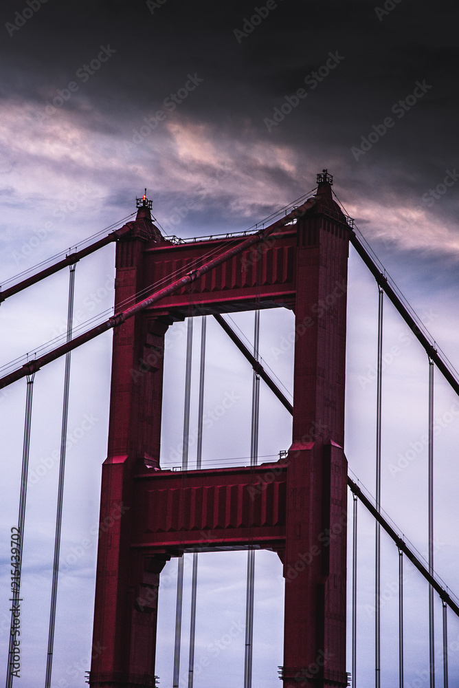 Fototapeta premium golden gate detailed shot 
