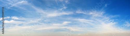 Fototapeta Naklejka Na Ścianę i Meble -  Sunny sky panorama