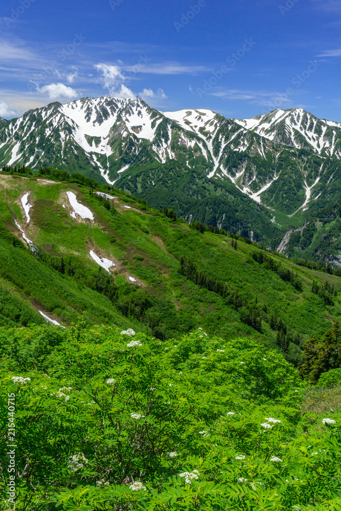 爺ヶ岳から望む立山連峰とナナカマド