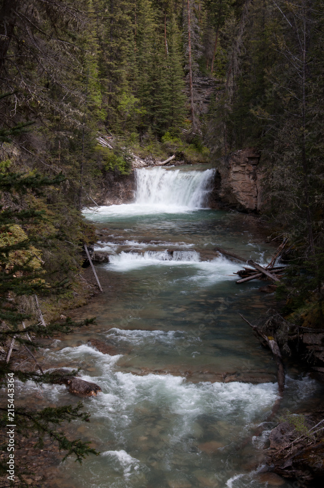 Fototapeta premium Cascading Waterfalls in Banff National Park