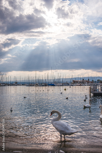 Sunrays peeking through the clouds