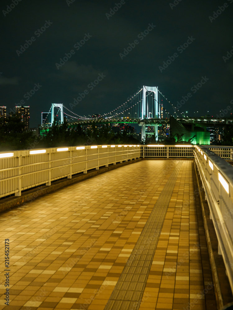 Obraz premium お台場 夜景