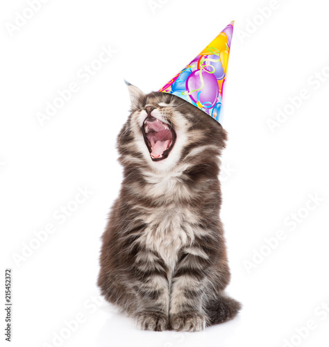 Fototapeta Naklejka Na Ścianę i Meble -  Yawning kitten in birthday hat. isolated on white background