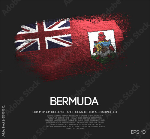 Bermuda Flag Made of Glitter Sparkle Brush Paint Vector