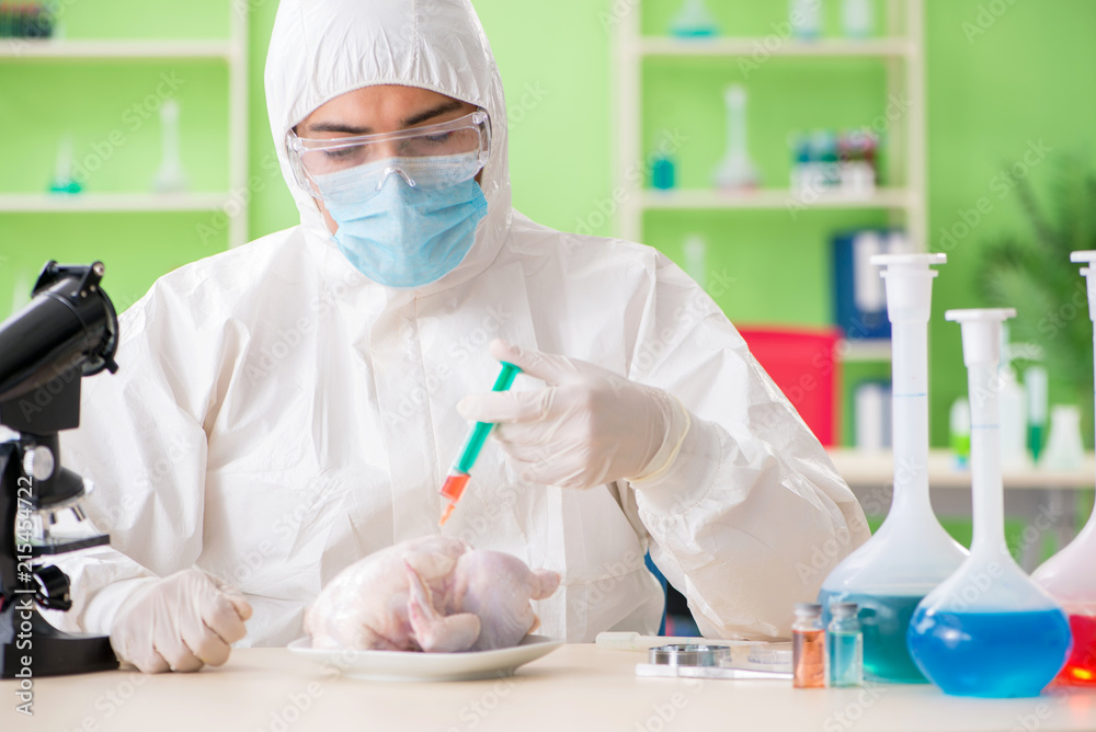 Lab assistant testing GMO chicken