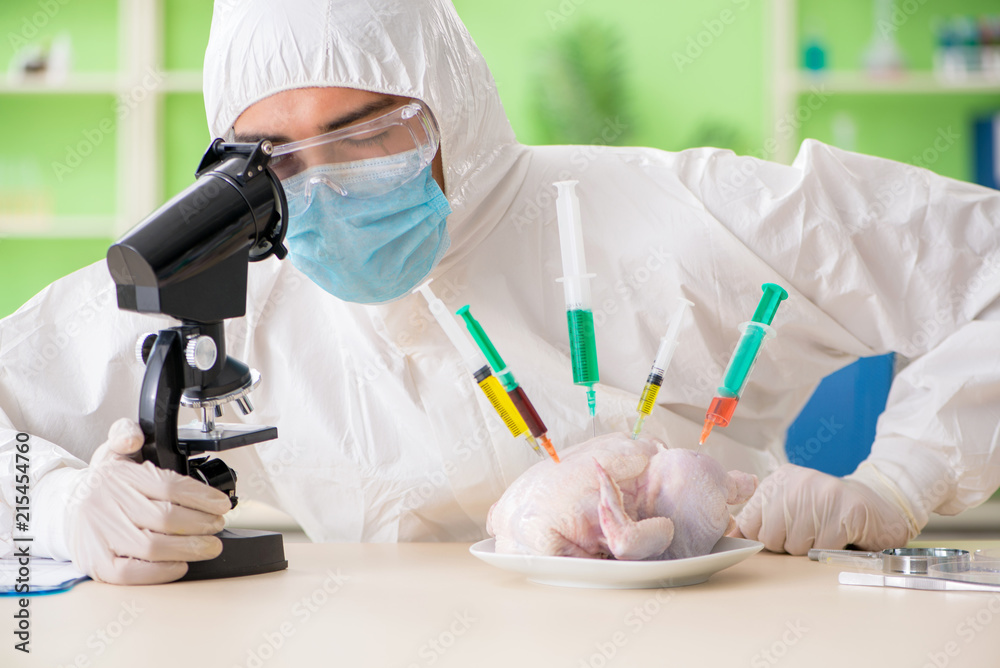 Lab assistant testing GMO chicken