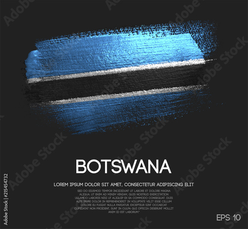 Botswana Flag Made of Glitter Sparkle Brush Paint Vector photo