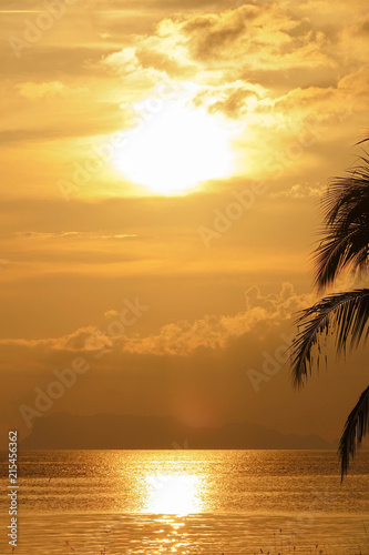 Golden Tropical Sunset with Sea View and Palm Tree