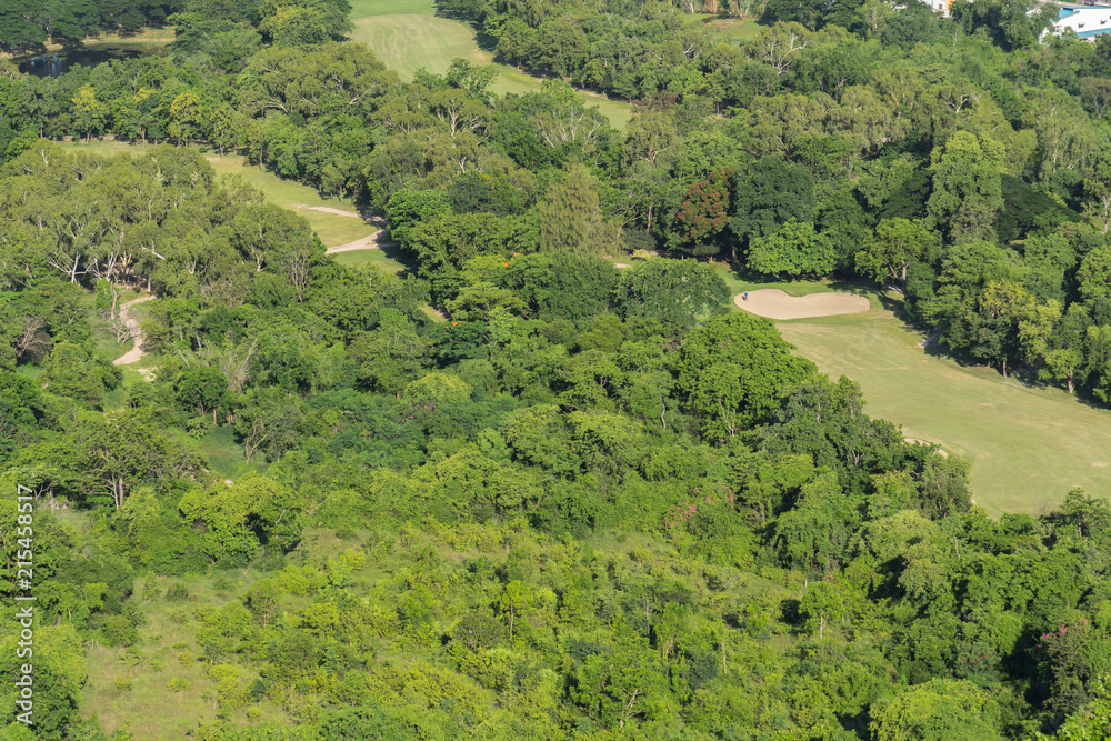 Golf course in aerial view with grass green field