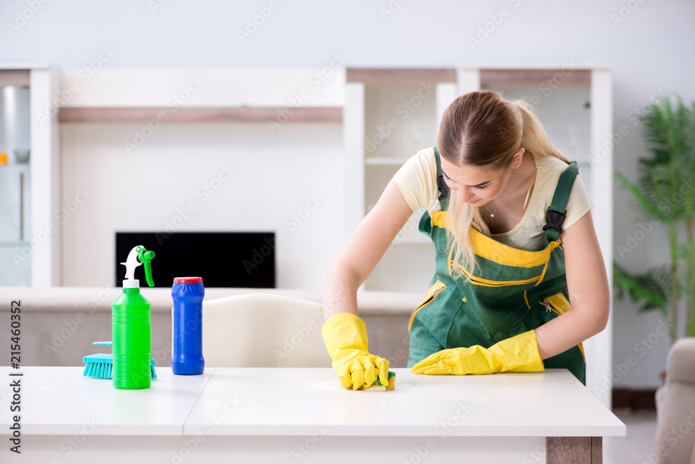 Professional cleaner cleaning apartment furniture Professional cleaner cleaning apartment furniture