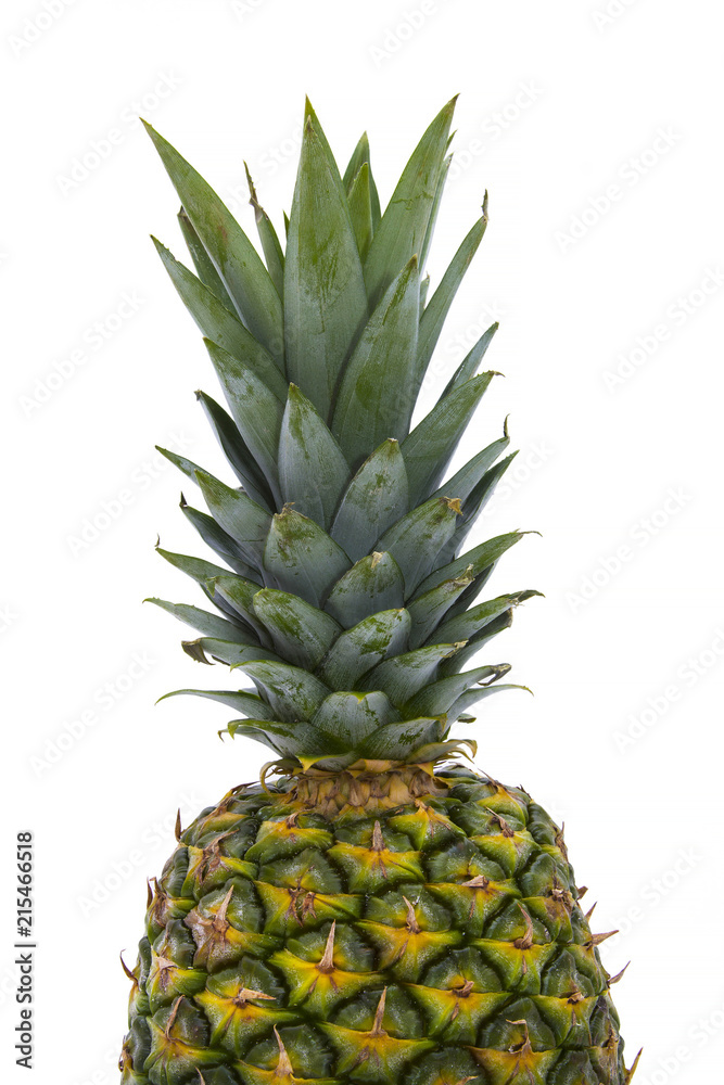tropical summer fruit, pineapple isolated on white tropical summer fruit, pineapple isolated on white