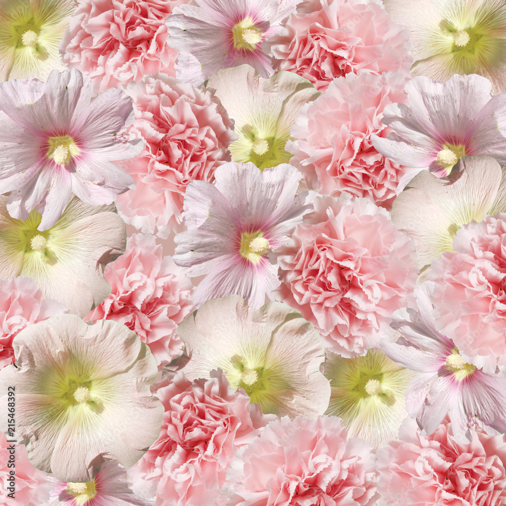 Beautiful floral background of mallow and carnation Beautiful floral background of mallow and carnation