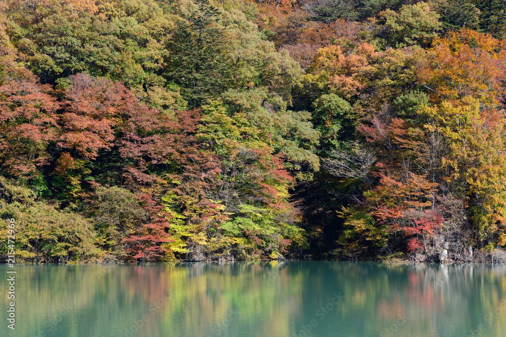 塩原ダムの紅葉 塩原ダムの紅葉