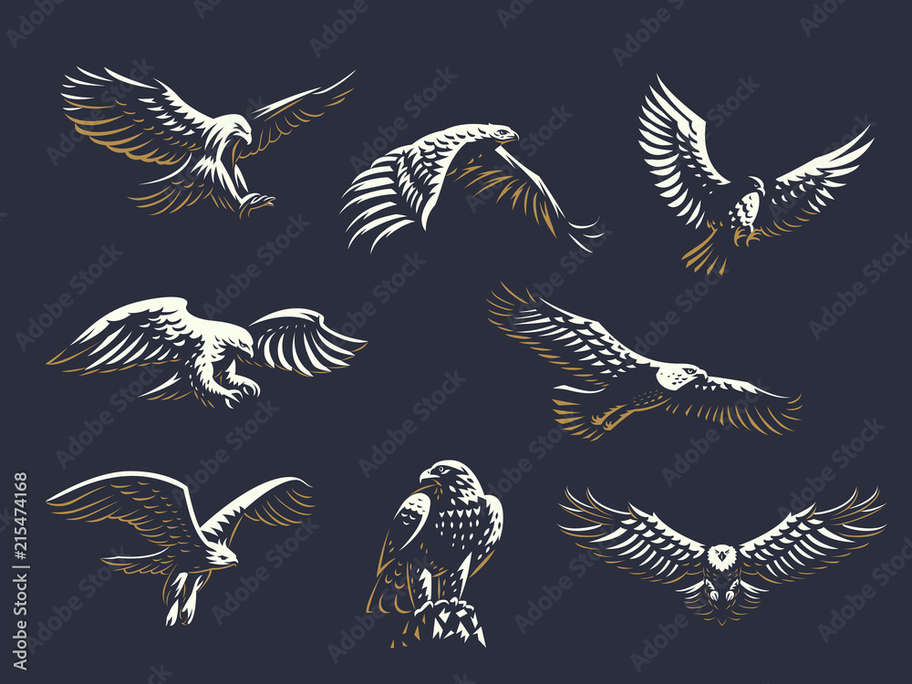 Set of vector eagles. 
