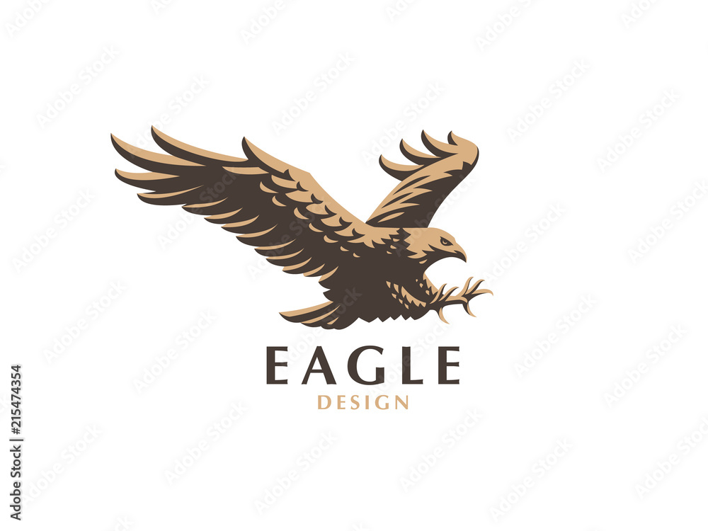 Fototapeta premium The flying eagle. 