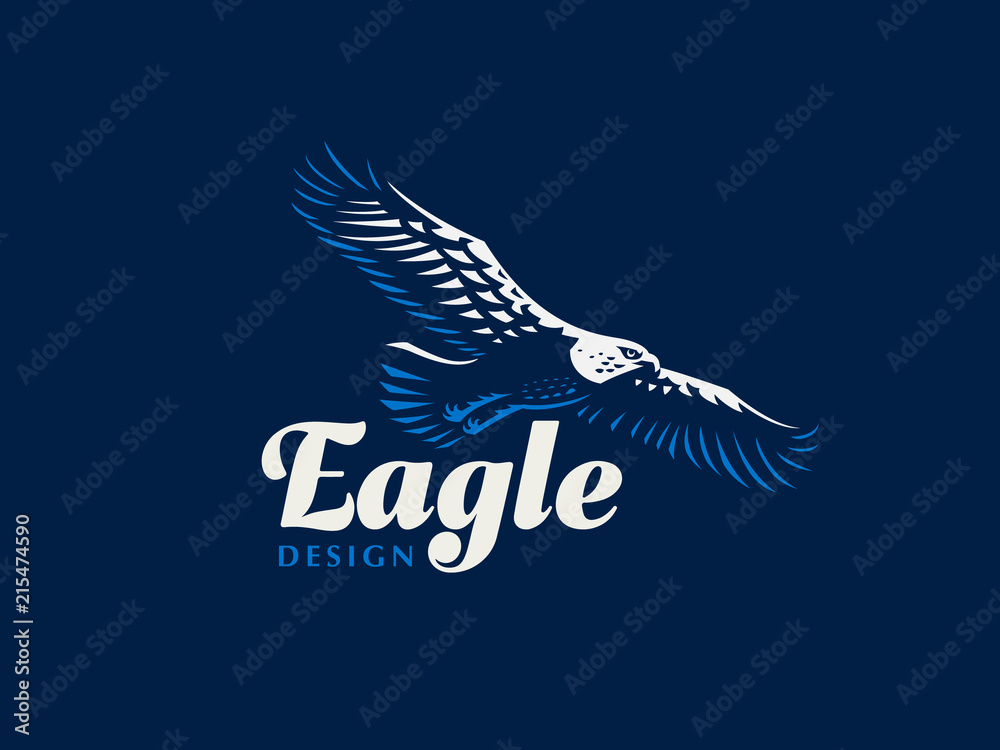 Fototapeta premium The flying eagle. 