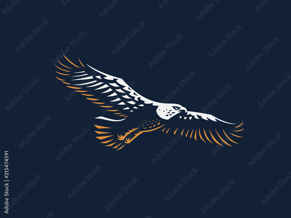 Naklejka premium The flying eagle. 