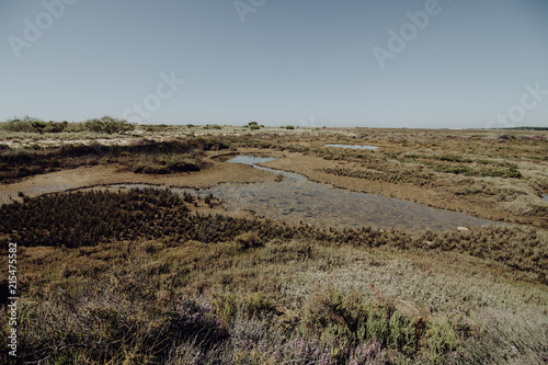 National park Ria Formosa in Algarve region Portugal