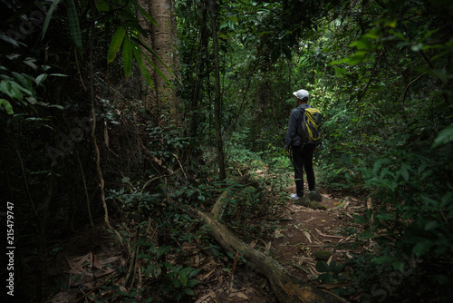 Young travler man walking in deep forest. photo