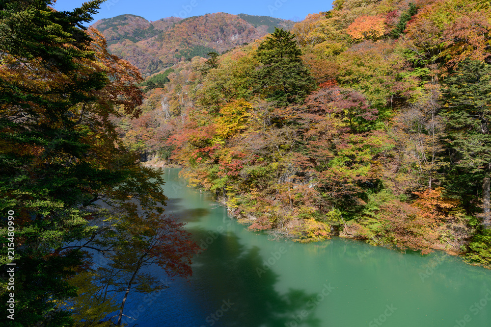 塩原ダムの紅葉