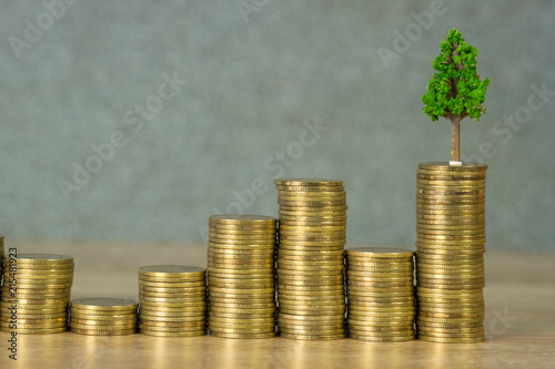 Tree growing on pile of golden coins, growth business finance investment and Corporate Social Responsibility or CSR practice and sustainable development concept.
