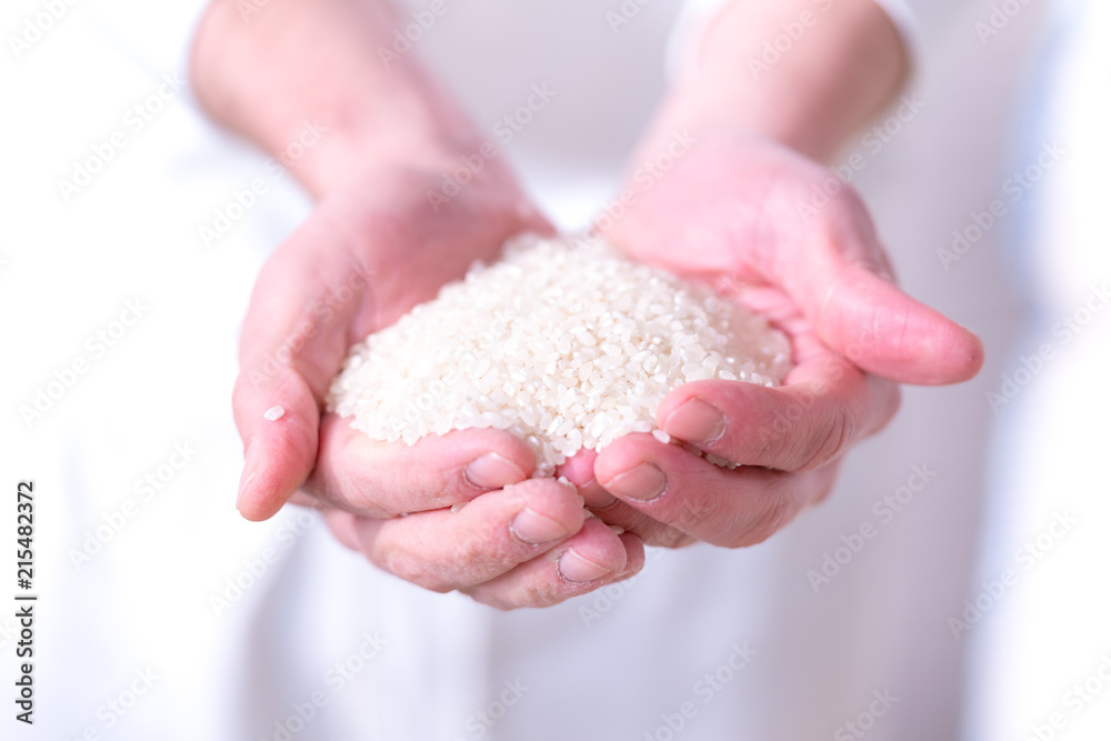 Mani di uomo che sollevano granaglia biologica Mani di uomo che sollevano granaglia biologica