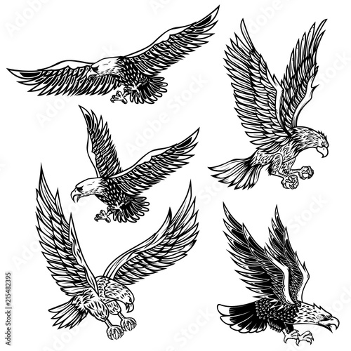 Set of eagles illustrations. Design element for logo, label, emblem, sign, poster, t shirt.