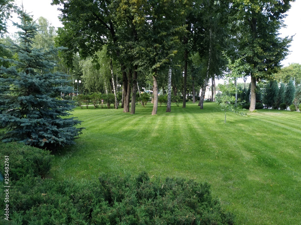 Obraz premium Park 2