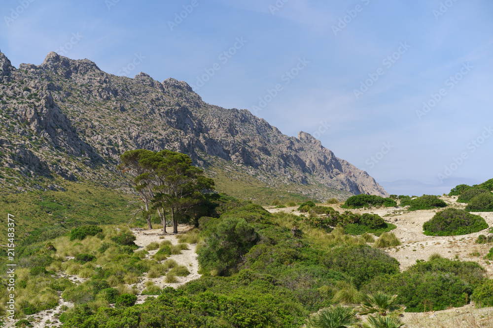 Beautiful Majorca landscape, path to the beach. LA SIERRA DE TRAMUNTANA