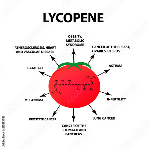 Lycopene treats the disease. Tomato is useful. Vector illustration on isolated background. photo