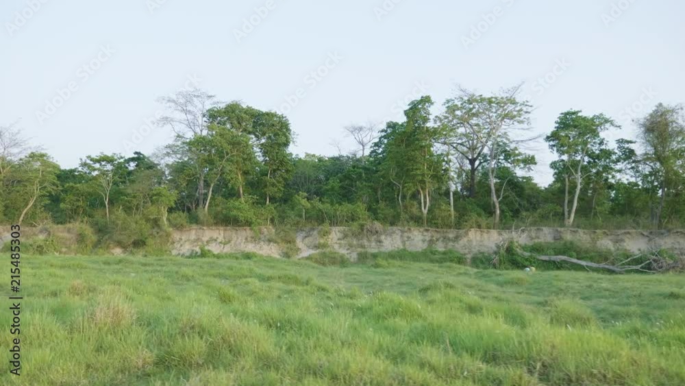 Rainforest in Chitwan national park, Nepal. Rainforest in Chitwan national park, Nepal.
