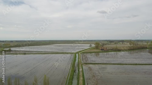 Aerial top shot descending over the rice fields in the countryside
