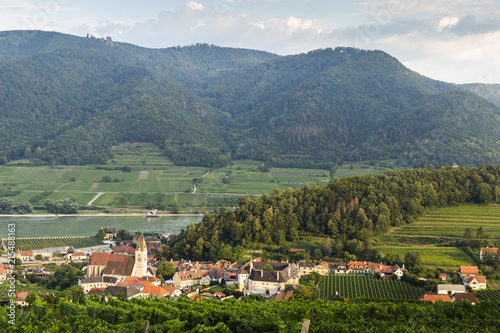 Spitz, Austria, View to tonw and old church from green vineyards.