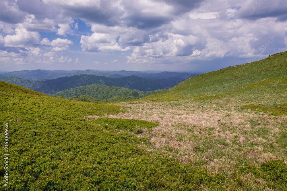 Obraz premium Smerek mount in Bieszczady National Park, Subcarpathian Voivodeship of Poland