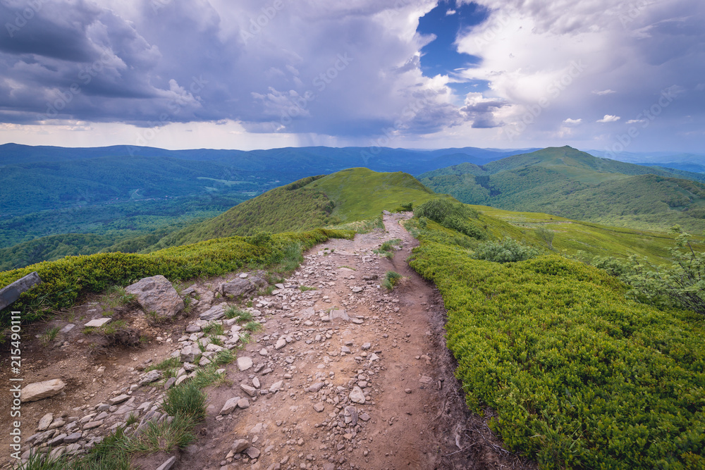 Fototapeta premium Hiking trail to Smerek Mountain on Wetlina high pasture in Bieszczady National Park, Subcarpathian Voivodeship of Poland