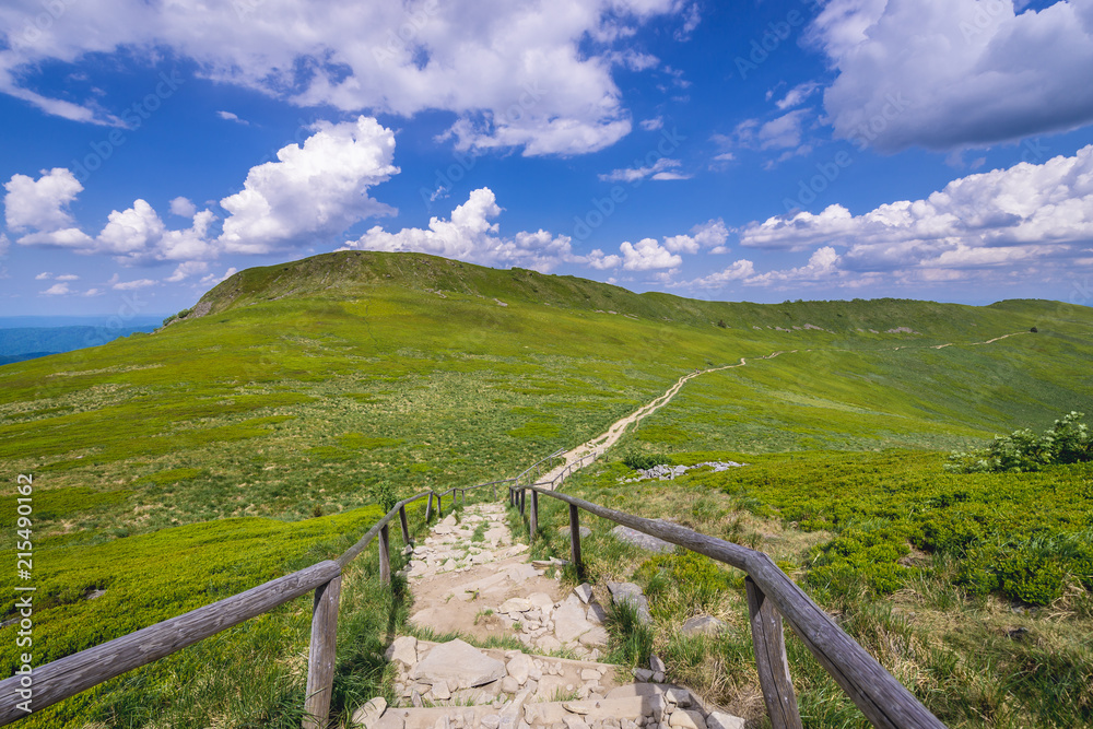 Obraz premium Stairs on a Wetlina hiking trail near Osadzki Wierch mountain in Bieszczady National Park, Subcarpathian Voivodeship of Poland